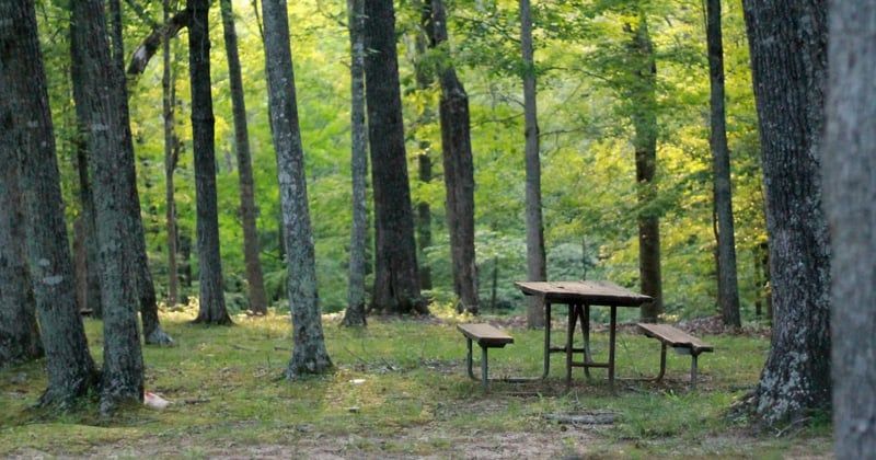 Camping écologique près d'une réserve naturelle : l'évasion verte