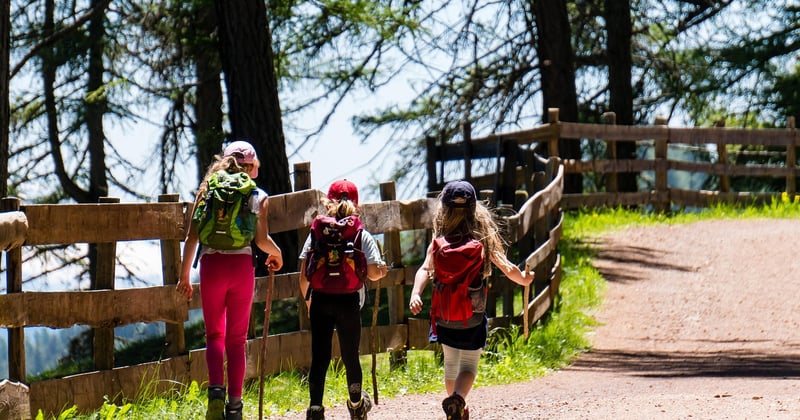 Randonnée facile en famille dans les Vosges : 10 sentiers qui ravissent les enfants