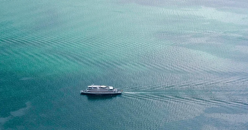 La solitude : le seul vrai problème, et comment je le gère