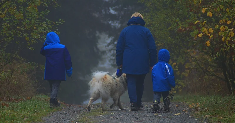 Les Vosges en poussette : ce qu'on peut vraiment faire, et ce qu'on ne peut pas