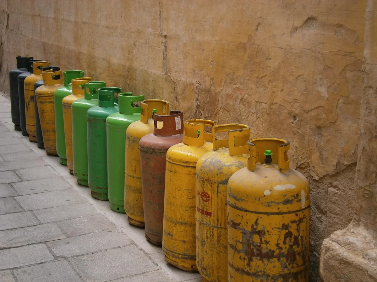 Gaz, alcool et multi-combustible : ce qui tient la durée